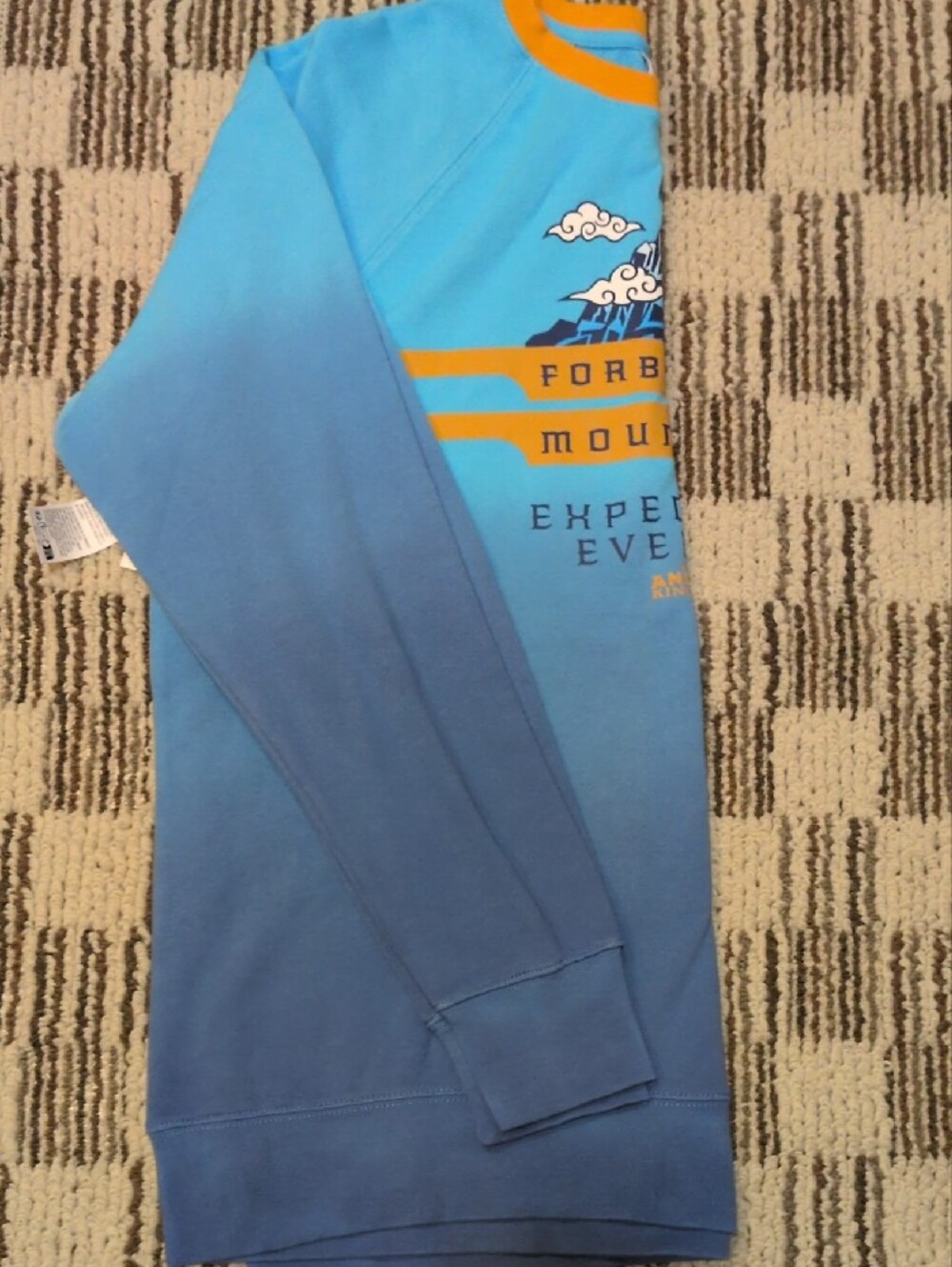 Disney Blue and Gold Forbidden Mountain Expedition Sweatshirt - Picture 11 of 12